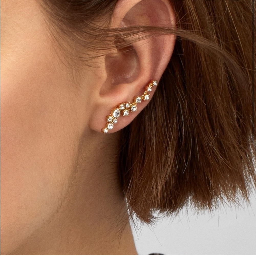 BaubleBar Farrah Crawler Earrings